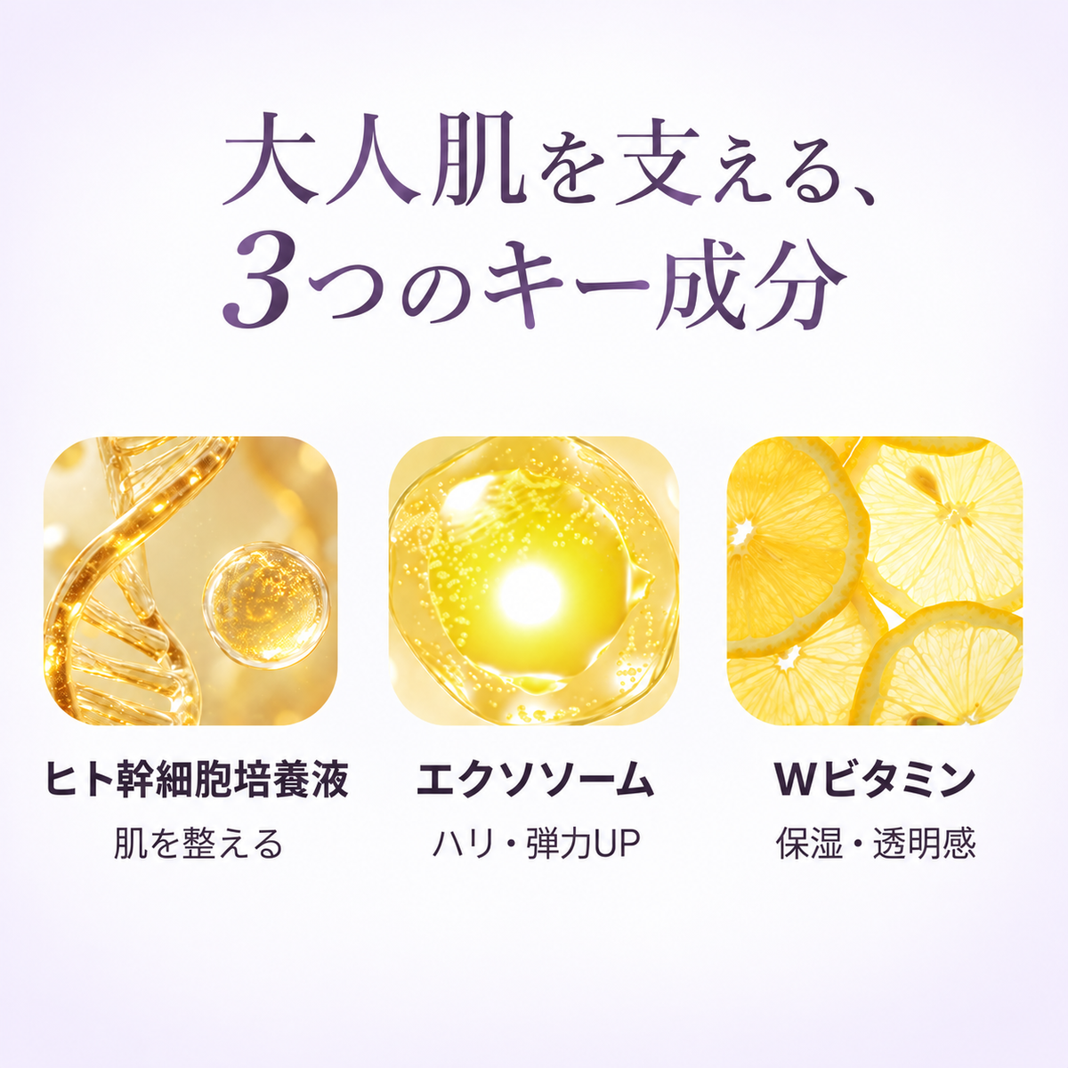 GIFT】エッセンスマスク 7枚 ランダム – CICIBELLA